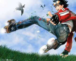 Ikki alias le corbeau